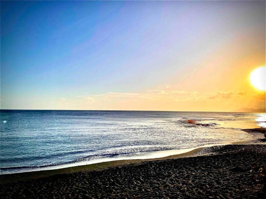 Moehani Beach Lodge Пунауиа Екстериор снимка